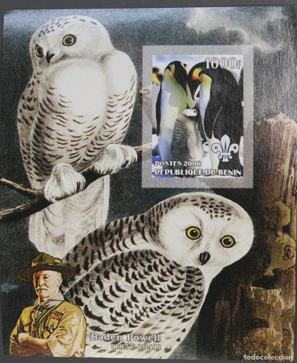 Sellos: BENIN 2006 SHEET MNH IMPERF BADEN POWELL SCOUTS AVES BIRDS PINGUINOS BUHOS OWLS PENGUINS HIBOUX
