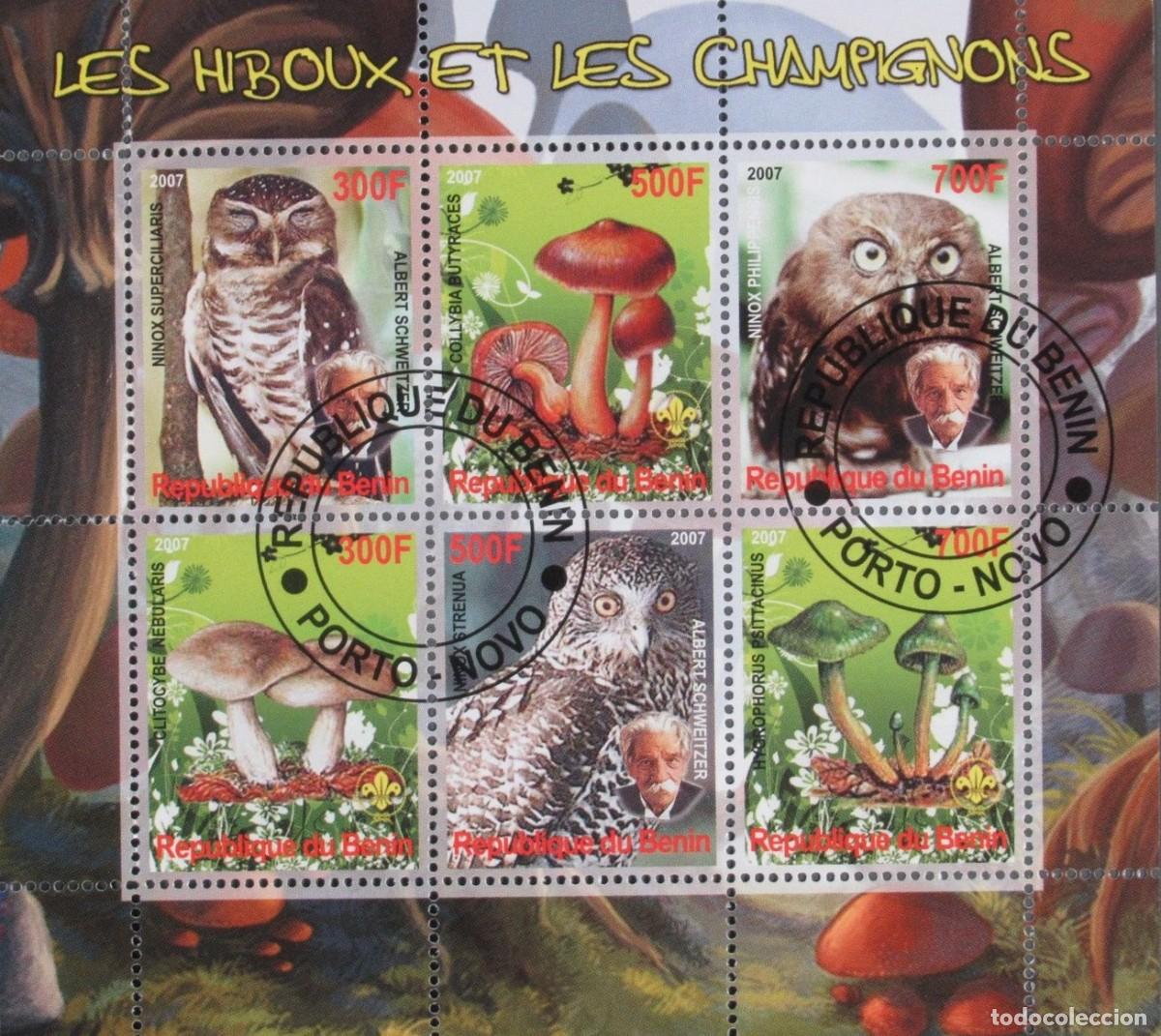 Sellos: BENIN 2007 SHEET USED MNH FAUNA BUHOS OWLS HIBOUX EULEN BIRDS AVES MUSHROOMS CHAMPIGNONS SETAS PILZE