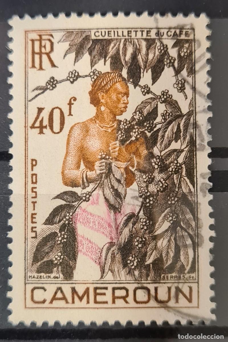 Sellos: Sello usado de Camer&uacute;n 1954: Recolecci&oacute;n de caf&eacute;