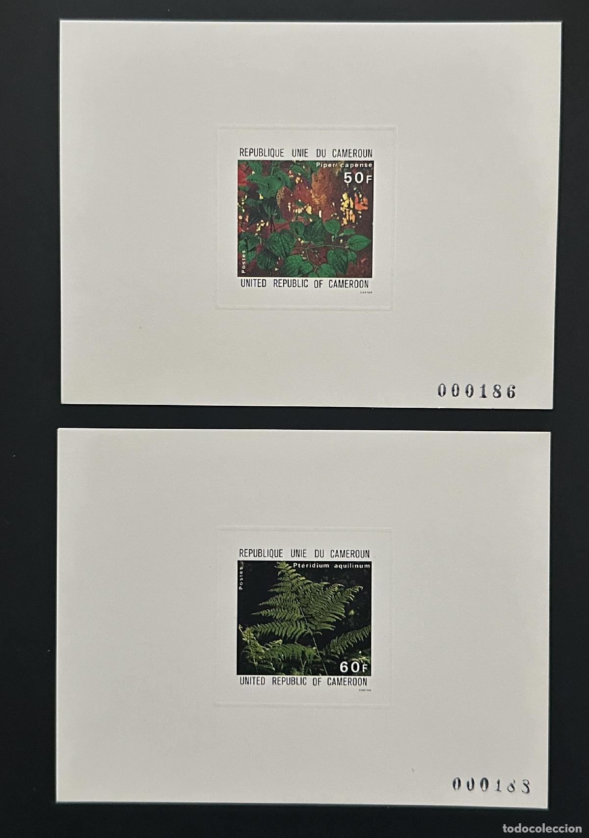 Sellos: Camer&uacute;n 1979 Mi. 921 - 922 a prueba de lujo Flore Piper capense Foug&egrave;re