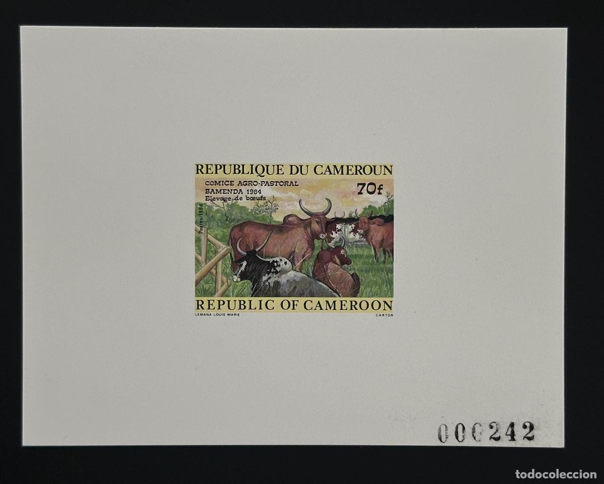 Sellos: Camer&uacute;n 1984 Mi. 1067 proof de luxe bueyes comice breeding Bamenda agriculture