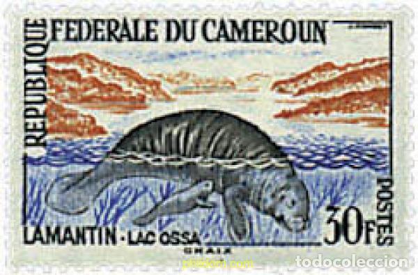 Briefmarken: 626244 MNH CAMERUN 1962 MAMIFEROS
