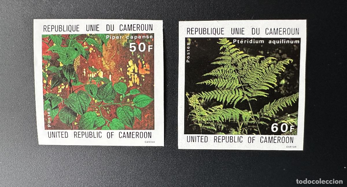 Sellos: Camer&uacute;n 1979 Mi. 921 - 922 ND Flora Plantas Piper capense Pteridium