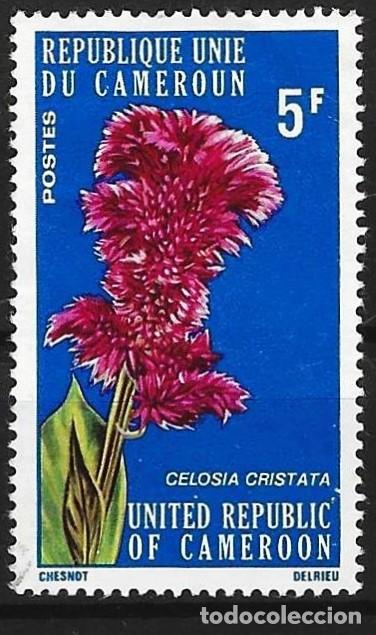 Sellos: Camer&uacute;n 1975 - Mi 794 - YT 579 - Flor : Celosia cristata