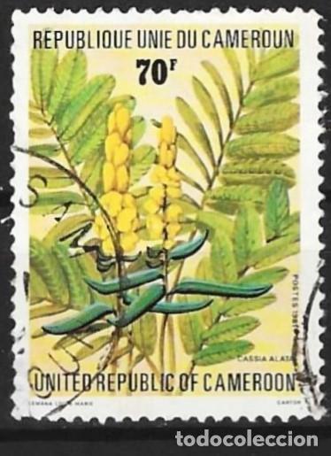 Sellos: Camer&uacute;n 1981 - Mi 969 - YT 680 - Flor : Planta medicinal