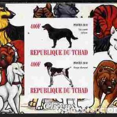 Sellos: TCHAD CHAD 2010 SHEET MNH IMPERF DOGS CHIENS PERROS HUNDEN CANI CAES. Lote 402402509