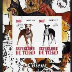 Sellos: TCHAD CHAD 2010 SHEET MNH IMPERF DOGS CHIENS PERROS HUNDEN CANI CAES. Lote 402402719