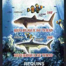 Sellos: TCHAD CHAD 2011 SHEET MNH IMPERF FAUNA MARINA REQUINS SHARKS TIBURONES SQUALI TUBAROES MARINE LIFE. Lote 402414174