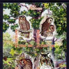Sellos: TCHAD CHAD 2012 SHEET MNH IMPERF FAUNA OWLS HIBOUX CHOUETTES BUHOS LECHUZAS EULEN CORUJAS BIRDS AVES. Lote 402496664