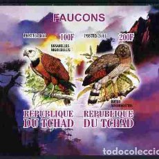 Sellos: TCHAD CHAD 2011 SHEET MNH IMPERF FAUNA FAUCONS HAWKS HALCONES FALKEN AVES RAPACES BIRDS OF PREY. Lote 402497129