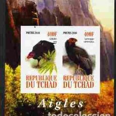 Sellos: TCHAD CHAD 2010 SHEET MNH IMPERF FAUNA AVES BIRDS OF PREY EAGLES AIGLES AGUILAS ADLER AQUILE RAPACES. Lote 402497409