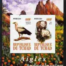 Sellos: TCHAD CHAD 2010 SHEET MNH IMPERF FAUNA AVES BIRDS OF PREY EAGLES AIGLES AGUILAS ADLER AQUILE RAPACES. Lote 402497489
