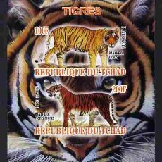 Sellos: TCHAD CHAD 2011 SHEET MNH IMPERF FAUNA MAMIFEROS TIGERS TIGRES RAUBKATZEN FELINOS FELINES WILD CATS. Lote 403172084