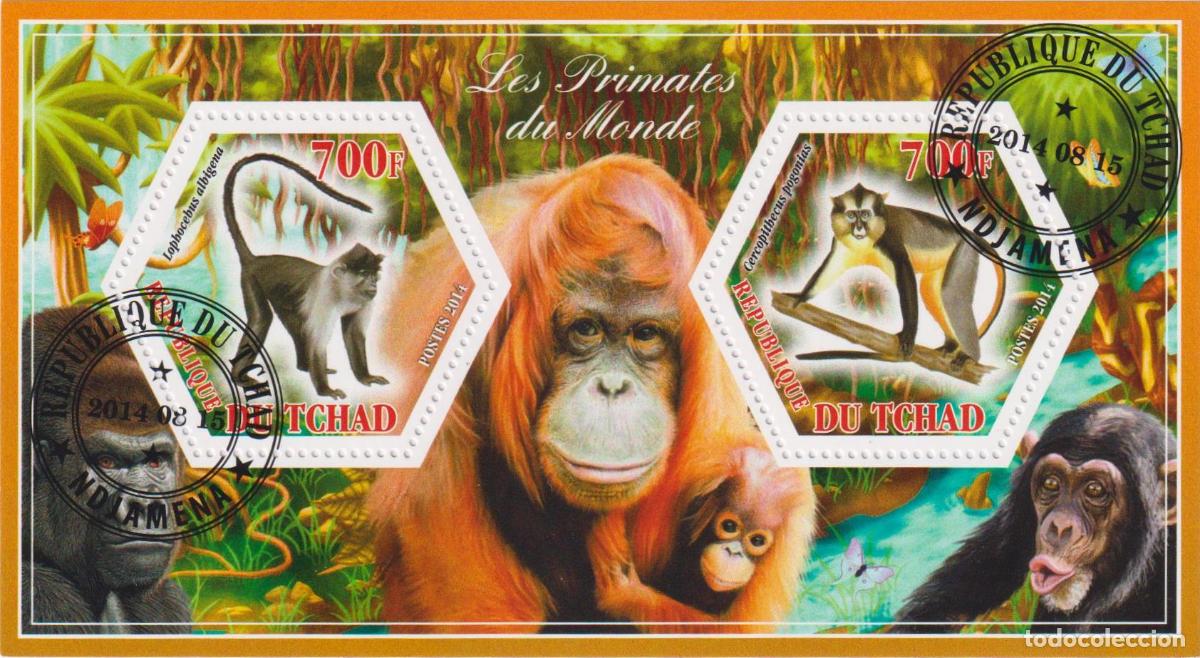 Sellos: Chad 2014 Primates Mono U - Foto 1