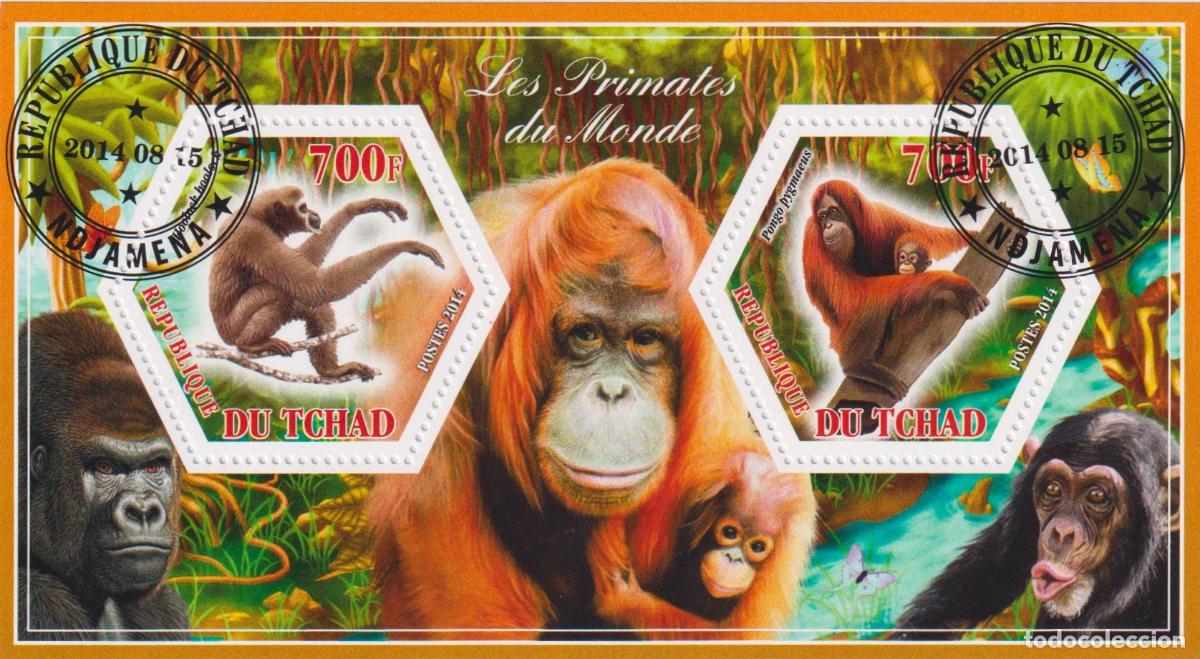 Sellos: Chad 2014 Primates Mono U - Foto 1