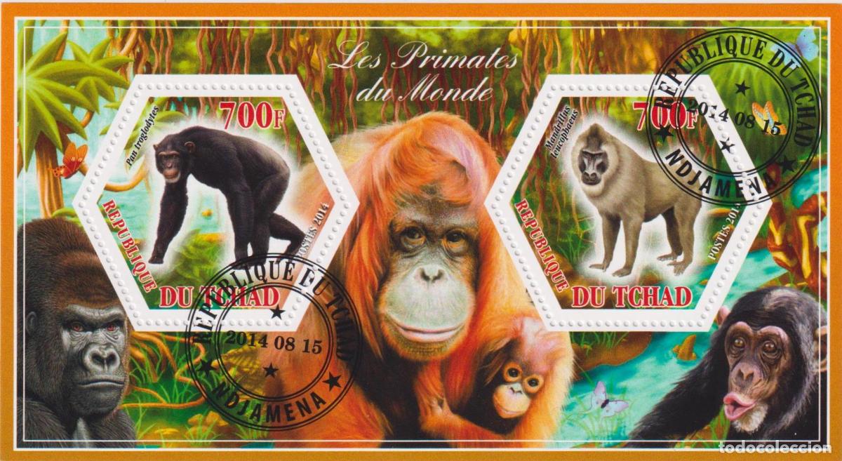 Sellos: Chad 2014 Primates Mono U - Foto 1