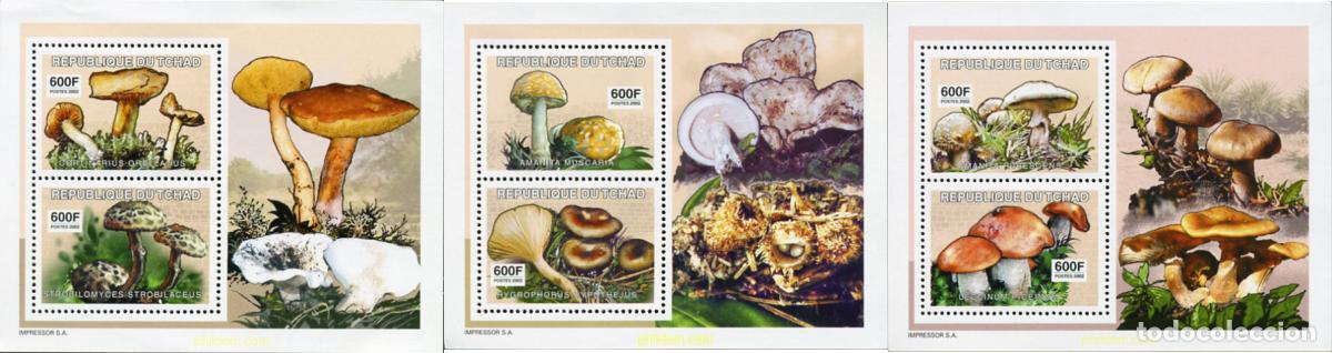Sellos: 195470 MNH CHAD 2003 SETAS - Foto 1