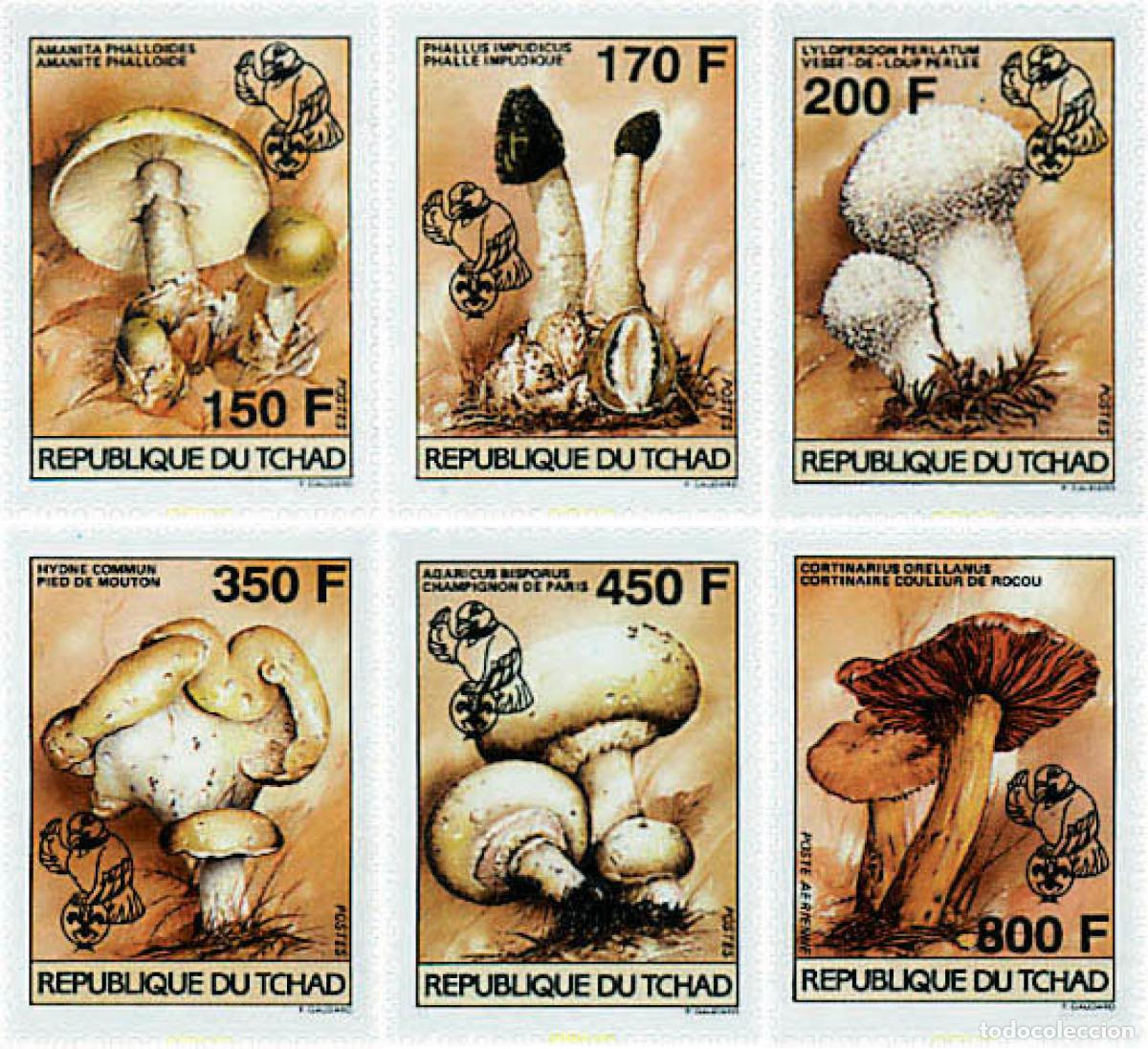 Sellos: 38104 MNH CHAD 1996 SETAS