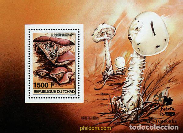 Sellos: 38105 MNH CHAD 1996 SETAS
