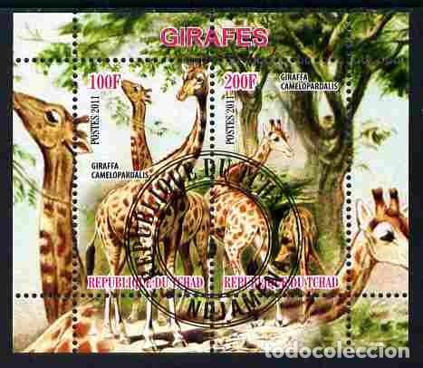 Sellos: TCHAD CHAD 2011 SHEET USED MNH FAUNA MAMIFEROS JIRAFAS GIRAFES GIRAFFES GIRAFFEN GIRAFAS WILDLIFE