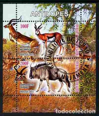 Sellos: TCHAD CHAD 2011 SHEET USED MNH FAUNA MAMIFEROS ANTILOPES ANTELOPES ANTILOPEN ANTELOPI WILDLIFE