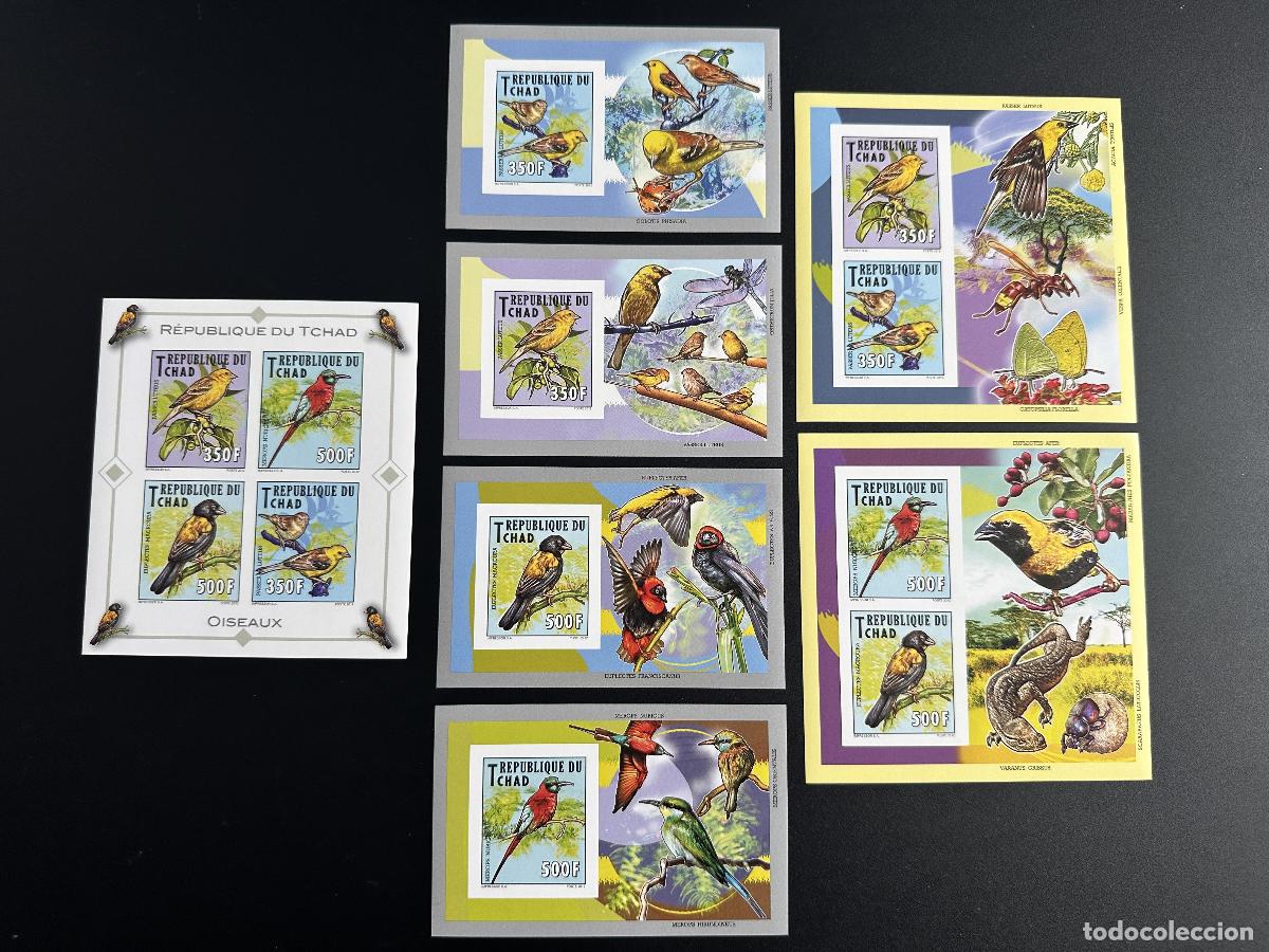 Sellos: Chad 2012 Mi. 2563 - 2566 Bl. 449 452 ND IMPERF Birds V&ouml;gel (I)