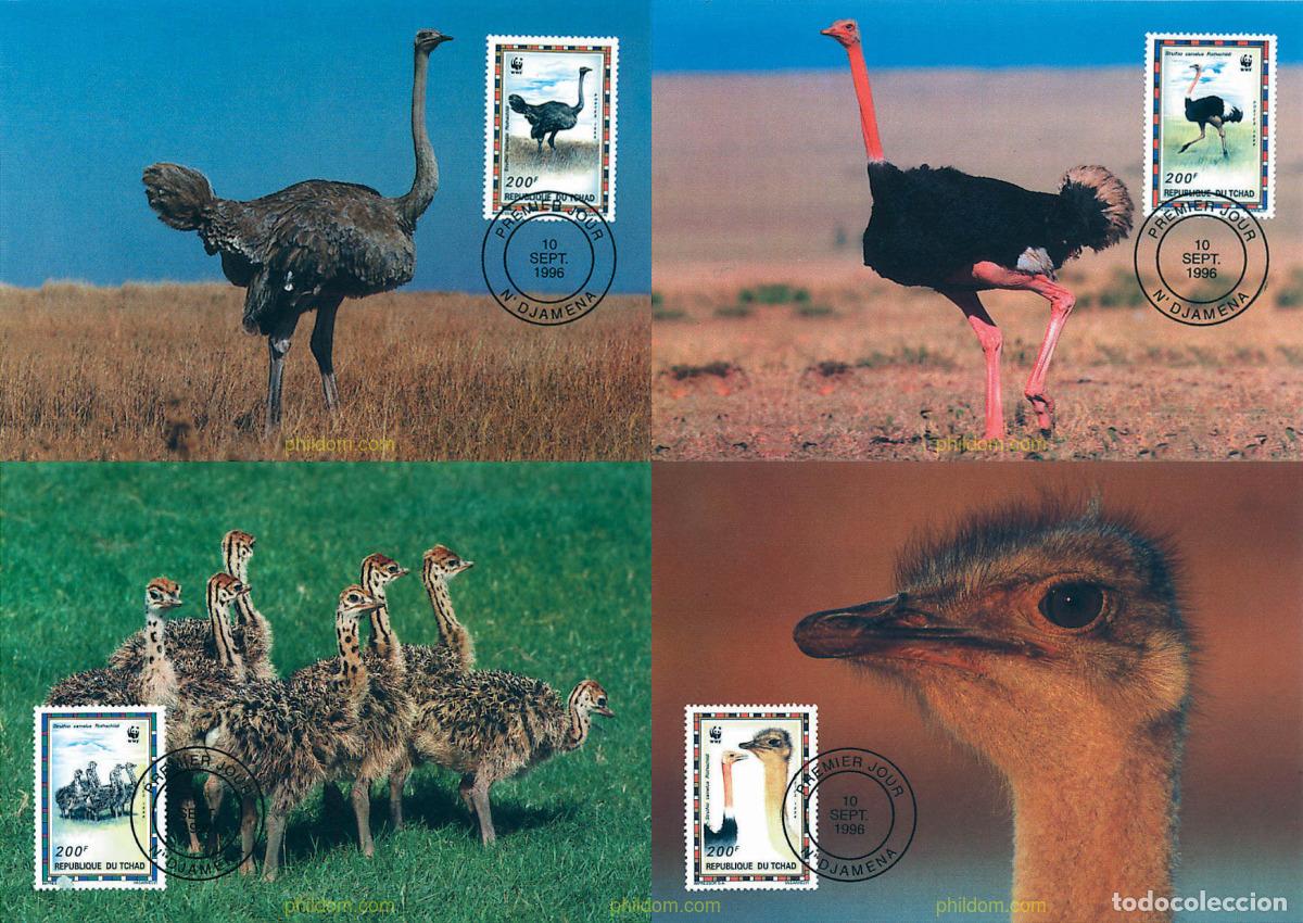 Briefmarken: 7418 MNH CHAD 1996 AVESTRUZ DEL NORTE DE AFRICA