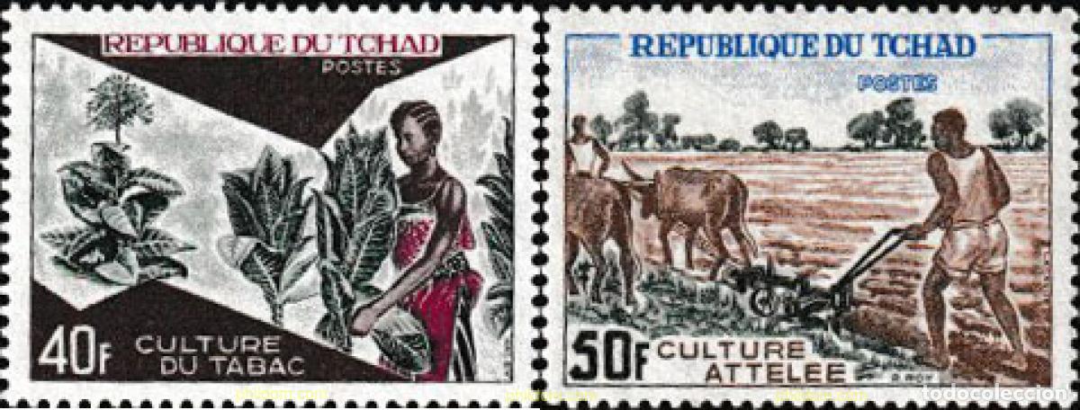 Selos: 68287 MNH CHAD 1972 DESARROLLO ECONOMICO