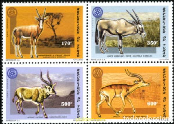 Sellos: 183225 MNH CHAD 1996 ANTILOPES