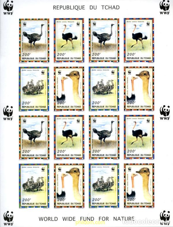 Sellos: 12760 MNH CHAD 1996 AVESTRUZ DEL NORTE DE AFRICA