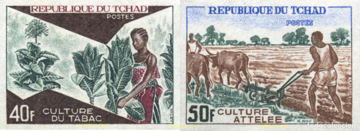 Sellos: 194191 MNH CHAD 1972 DESARROLLO ECONOMICO