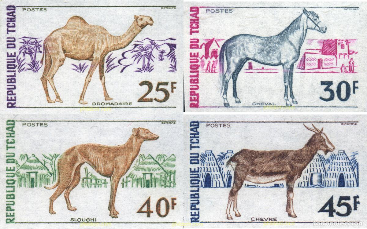 Sellos: 16980 MNH CHAD 1972 FAUNA