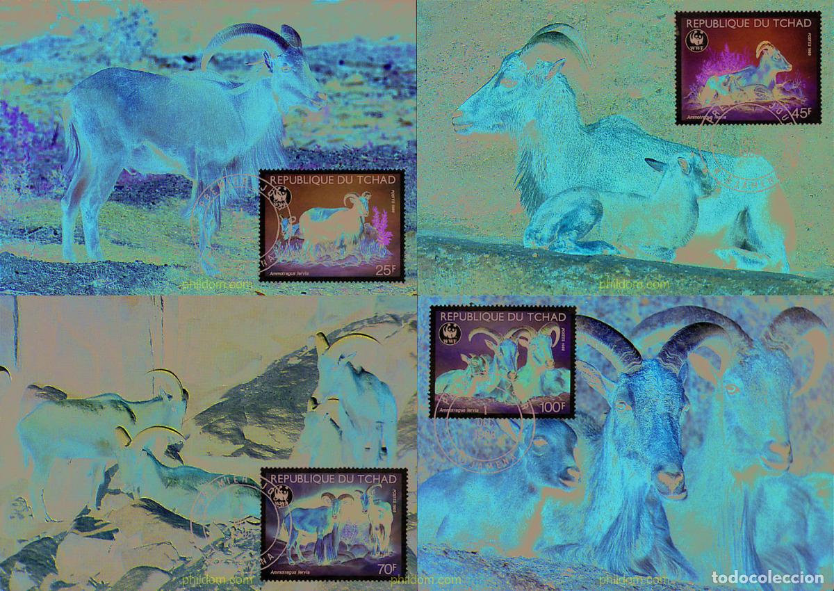 Sellos: 7335 MNH CHAD 1988 ARRUI