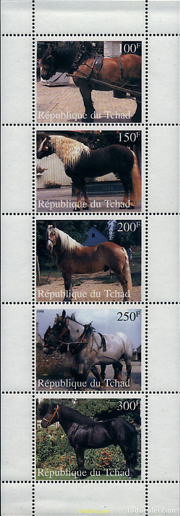 Sellos: 269991 MNH CHAD 1998 CABALLOS