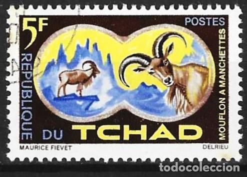Sellos: Chad 1965 - Mi 129 - YT 104 - Fauna : Mufl&oacute;n