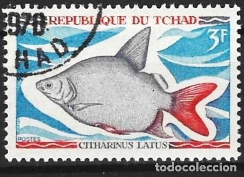 Sellos: Chad 1969 - Mi 283 - YT 217 - Pez