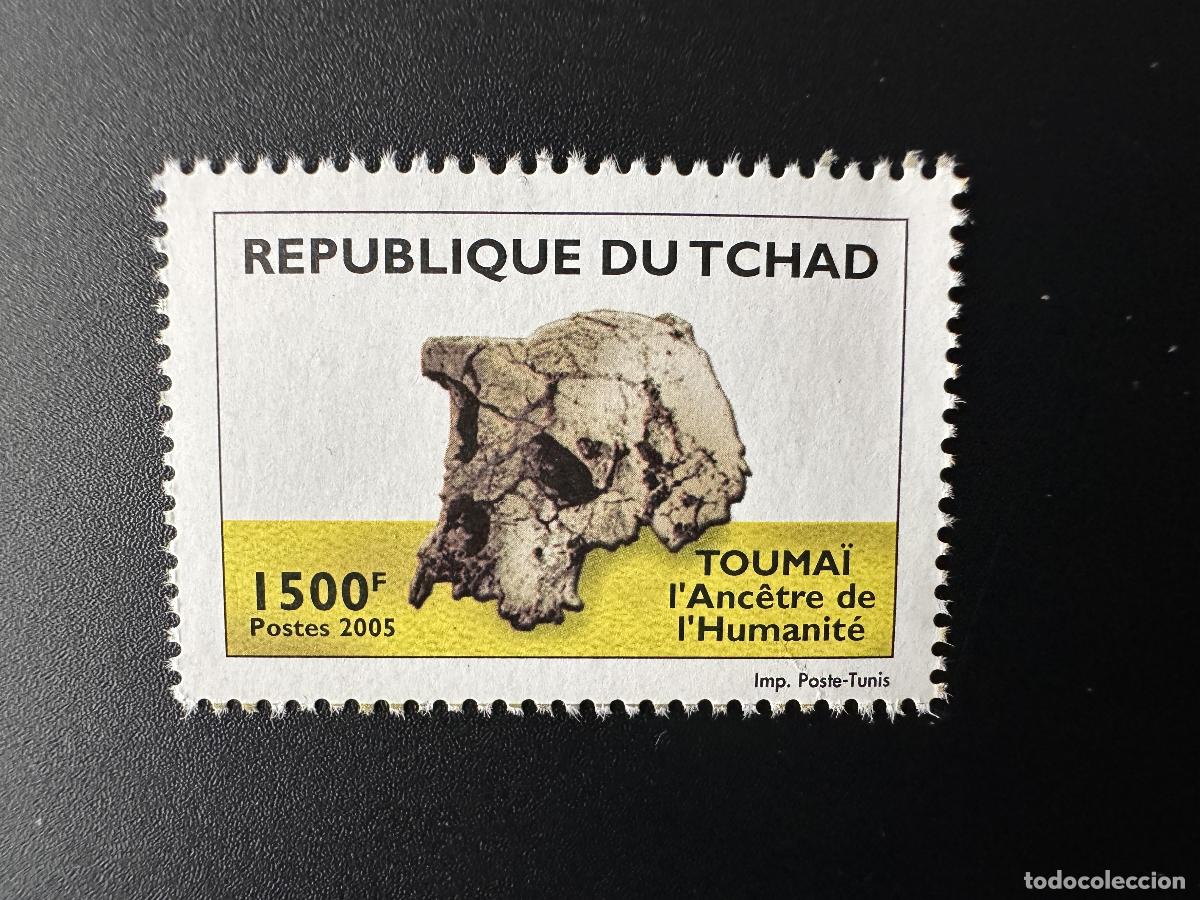 Sellos: Chad Tschad 2005 Mi. 2514 Touma&iuml; el antepasado de la humanidad