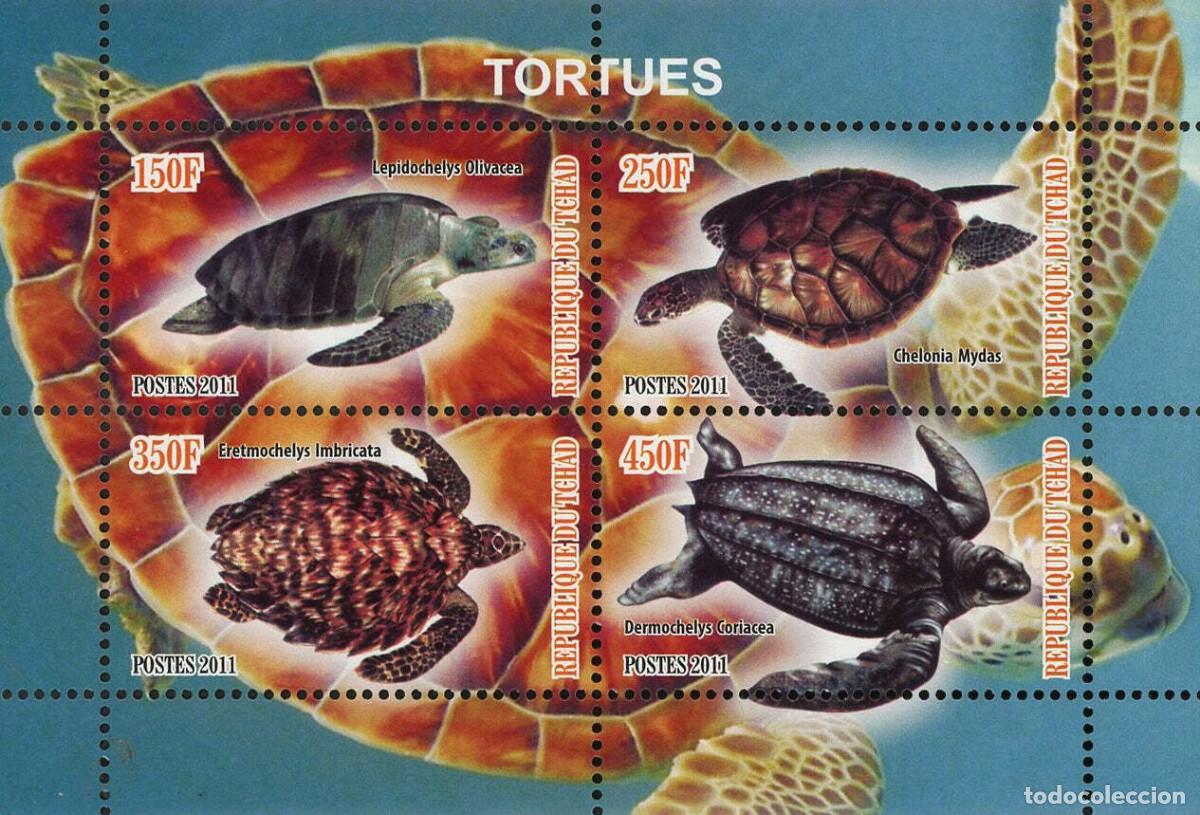 Francobolli: TCHAD CHAD 2011 SHEET MNH FAUNA TURTLES TORTUES TARTARUGAS TORTUGAS TARTARUGHE SCHILDKROTEN