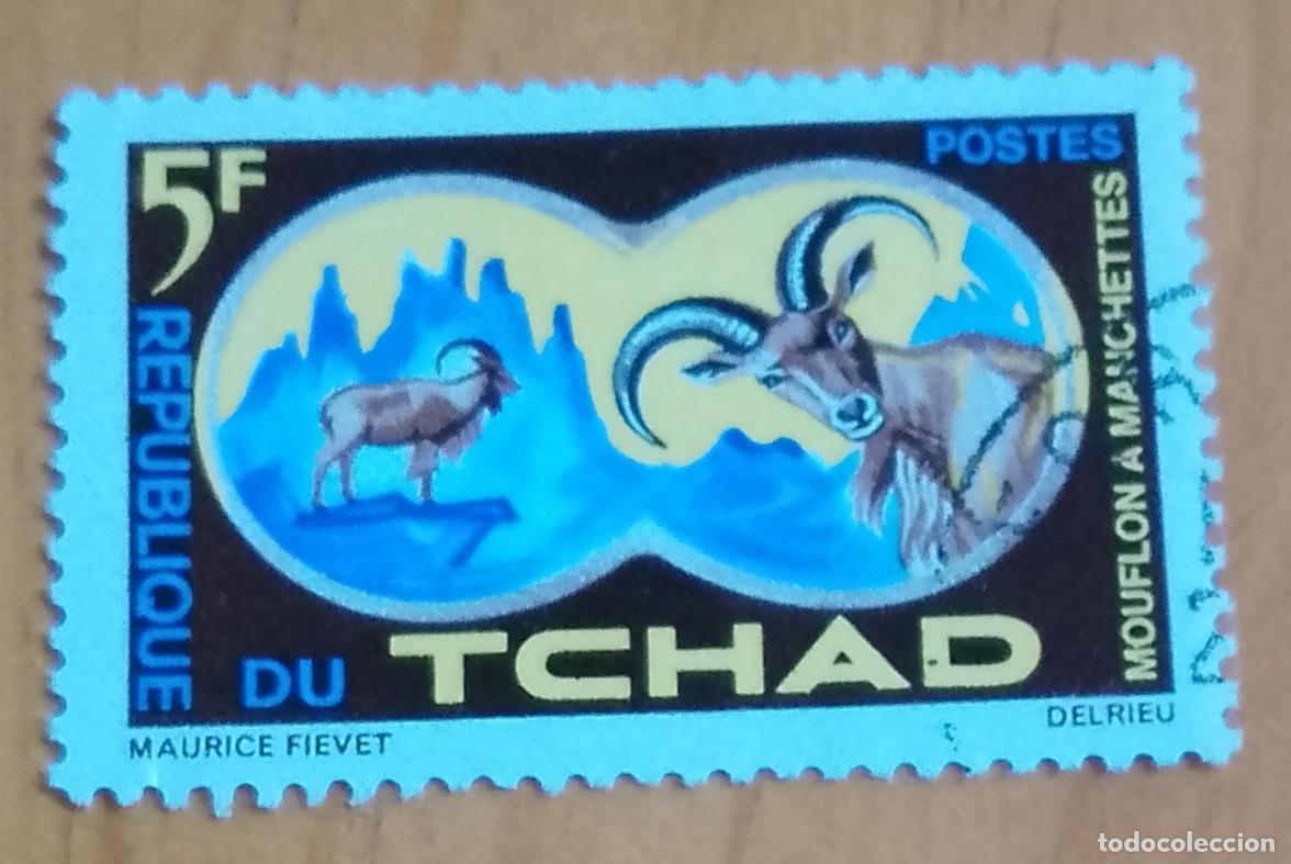 Timbres: CHAD - 5 F - FAUNA, MOUFLON A MANCHETTES, OVEJA SALVAJE - VER DESCRIPCI&Oacute;N