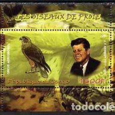 Sellos: CONGO 2009 SHEET MNH JFK JOHN KENNEDY FAUNA RAPACES BIRDS OF PREY AVES DE PRESA OISEAUX DE PROIE. Lote 362743360