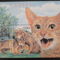 Sellos: SD)1999, REPUBLIC OF CONGO, CATS, ABYSSINIAN, ANIMALS NATURE, SOUVENIR LEAFLET, MNH. Lote 400321489