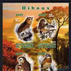 Sellos: CONGO 2012 SHEET MNH IMPERF FAUNA OWLS HIBOUX CHOUETTES BUHOS LECHUZAS EULEN BIRDS AVES OISEAUX. Lote 402495554
