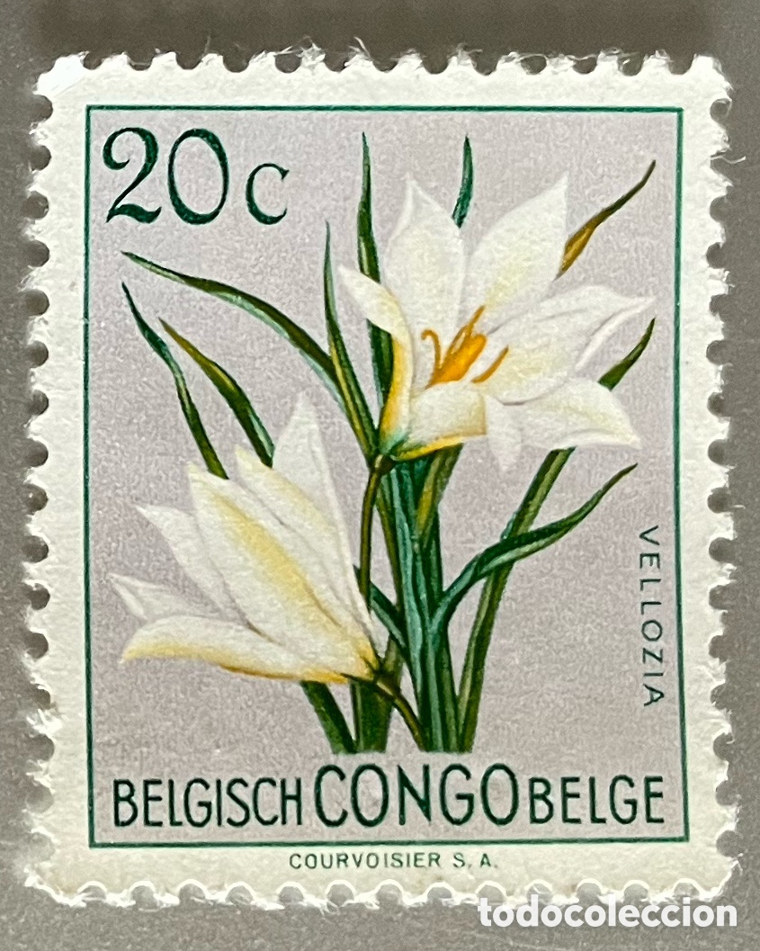 Sellos: Congo Belga. Flores. 1952 - Foto 1
