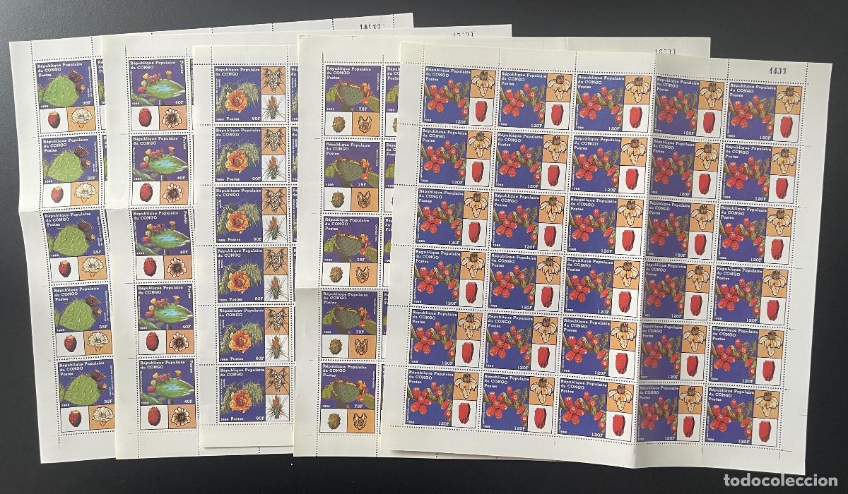 Selos: Congo 1989 YT 855-859 tabl&oacute;n Flores de cactus plantas suculentas flora