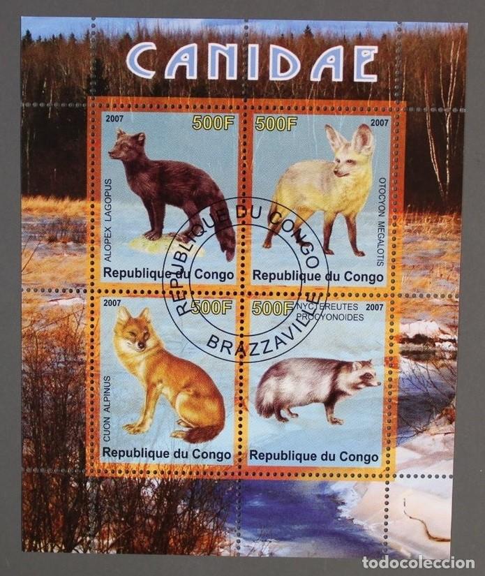 Sellos: CONGO 2007 SHEET USED MNH CANIDAE FAUNA MAMIFEROS WILD DOGS ZORROS FOXES MAPACHES CUONES WILDLIFE
