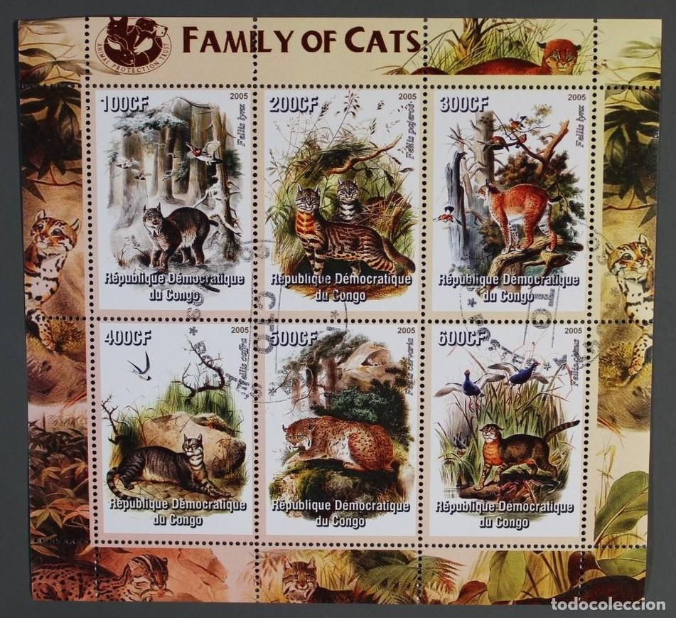 Sellos: CONGO 2005 SHEET USED MNH FAUNA MAMIFEROS TIGERS TIGRES RAUBKATZEN FELINOS FELINES WILD CATS