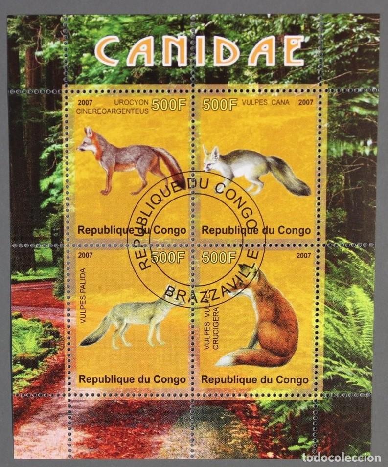 Sellos: CONGO 2007 SHEET USED MNH CANIDAE FAUNA MAMIFEROS WILD DOGS ZORROS FOXES VULPINOS RAPOSAS WILDLIFE