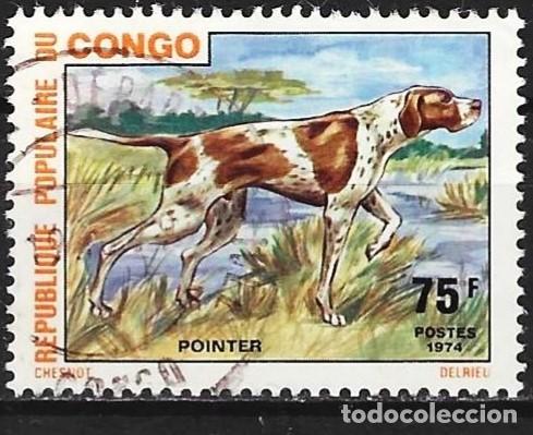 Sellos: Congo Brazzaville 1974 - Mi 443 - YT 349 - Fauna : Perro de caza