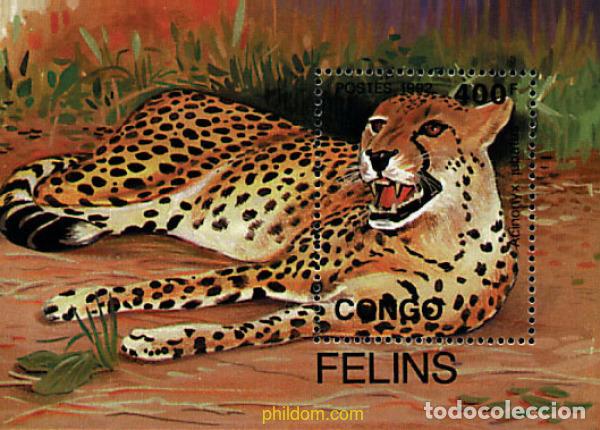 Sellos: 73598 MNH CONGO 1992 FELINOS SALVAJES.