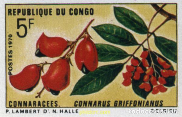 Sellos: 215867 MNH CONGO 1970 FAUNA Y FLORA